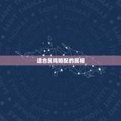 适合属鸡婚配的属相，属相婚配：男属兔和女属鸡相配吗