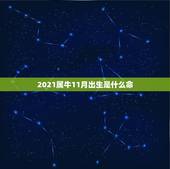 2021属牛11月出生是什么命，属牛11月出生有福气