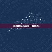属相婚配小吉是什么意思，属鼠和蛇相配吗