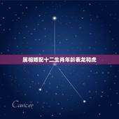 属相婚配十二生肖年龄表龙和虎，属相龙与属相虎相配吗