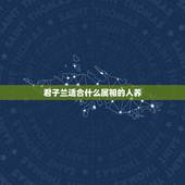 君子兰适合什么属相的人养，属羊的人适合养什么花最好