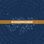 命中的正桃花有正缘桃花，命中有3朵正缘桃花是什么意思？