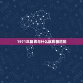 1971年猪男与什么属相相匹配，1971年和什么属相命里是相配的