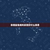 命理鼠兔相刑反而好什么意思，兔与鼠相刑是什么意思