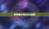 生肖兔87年2022运势，2021兔人全年运势1987