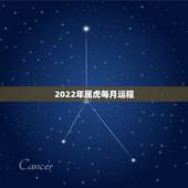 2022年属虎每月运程，2022年运势12生肖运势详解