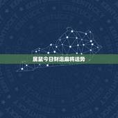 属鼠今日财运麻将运势，1984属鼠今日打牌财运