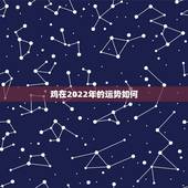 鸡在2022年的运势如何，属鸡2023到2024运势