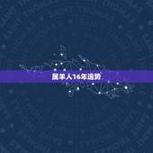 属羊人16年运势，属羊在2016年的运势