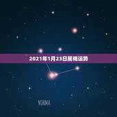 2021年1月23日属相运势，2021年生肖龙的全年运势