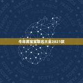 牛年男宝宝取名大全2021款，2021牛年男宝宝最佳取名