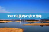 1981年属鸡41岁大劫年，81年属鸡的十年大运
