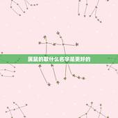 属鼠的取什么名字是更好的，属鼠的名字里带什么好