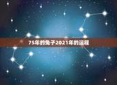 75年的兔子2021年的运程，75年属兔2021年运势及运程男