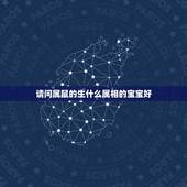 请问属鼠的生什么属相的宝宝好，属鼠的夫妻生一个什么属象的孩子最好？