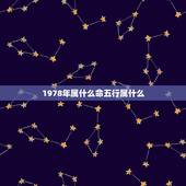 1978年属什么命五行属什么，78年五行属什么 是什么命