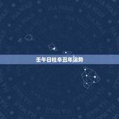 壬午日柱辛丑年运势，壬午日柱男命是九败