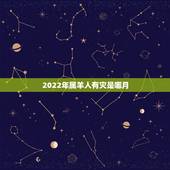 2022年属羊人有灾是哪月，属羊人在2022虎年的运势