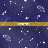 属虎哪个命好，十二生肖属虎的人命好吗