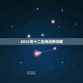 2022年十二生肖运势详解，2022年运势最好的生肖