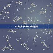 87年兔子2022年运势，2017年属兔的全年运势