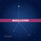属虎改什么名字更好，2022属虎女宝宝取名字大全