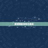 属相婚配龙和马查询，龙和马的生肖婚姻配吗