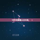 1971年属猪人三大坎，1971年猪女50岁后好不好