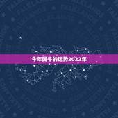 今年属牛的运势2022年，1973年属牛人2022年每月运势