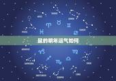 鼠的明年运气如何，属鼠的今年运势怎么样2022