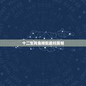 十二生肖兔婚配最好属相，属兔的属相婚配表