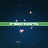 1970年属狗的财运在哪个方向，70年属狗2022 年财运方位