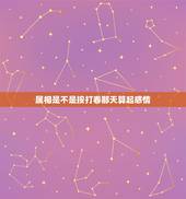 属相是不是按打春那天算起感情，生肖是按立春算还是除夕啊？