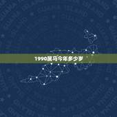 1990属马今年多少岁，属马1990年的虚岁今年多大了