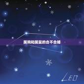 属狗和属鼠的合不合婚，属狗的与属鼠合不合