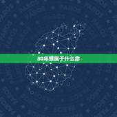 80年猴属于什么命，1980年属猴的是什么命运