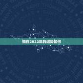 狗在2022年的运势如何，2021年狗人的全年运势如何