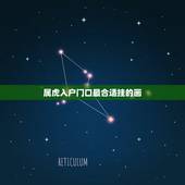 属虎入户门口最合适挂的画，属虎的玄关摆什么合适