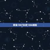 男兔1987女虎1986婚配，男1986虎女1987兔配吗？
