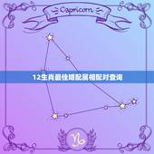12生肖最佳婚配属相配对查询，十二生肖婚配:属相合婚配对表