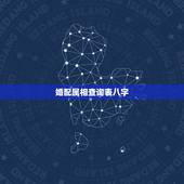 婚配属相查询表八字，如何查看八字合婚