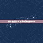 属牛和属羊人生什么属相孩子好，属牛能和属羊做夫妻怎么样