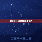 老鼠跟什么属相最最更高的，属鼠的女找个属啥的好