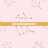 属牛和属虎的属相不好吗，属牛与属虎相冲吗？