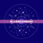 壁上土命是什么时间出生好，壁上土命是什么意思