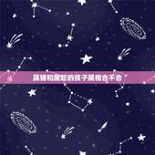 属猪和属蛇的孩子属相合不合，属猪跟属蛇的适合结婚吗？