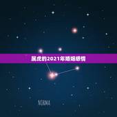 属虎的2021年婚姻感情，属虎的2021年婚姻感情