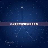小运播报生肖今日运势天天看 12生肖今日运势天天看