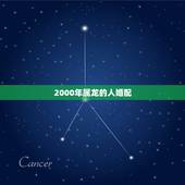 2000年属龙的人婚配，2000年属龙男孩的和属什么的比较配