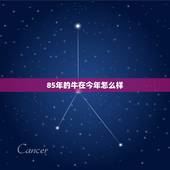 85年的牛在今年怎么样，1985年属牛今年财运怎么样？